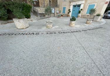 Tour Wandern Gigondas - Dentelles de Montmirail - Photo