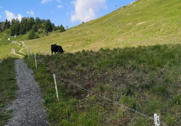 Tocht Noords wandelen Arbaz - rawil - Photo