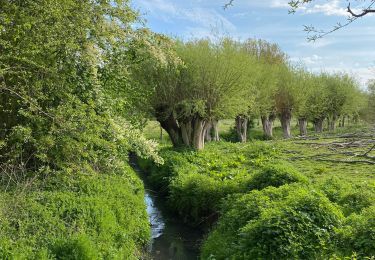 Tour Wandern Braine-l’Alleud - Ophain - promenade du Paradis (via rue Brûlée) - Photo