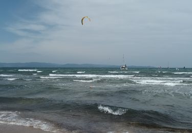 Trail Walking Hyères - Presqu'île de Giens est-03-06-22 - Photo