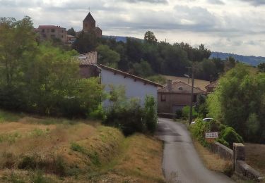 Randonnée Marche Saint-Jean-des-Vignes - Bouche de Saint Jean des Vignes à Saint Pierre - Photo