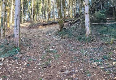 Excursión Senderismo Martignat - cimetierre  vers grospiron - Photo