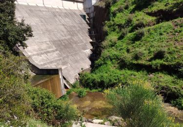 Trail Walking Fréjus - z le plan Guinet 30-04-19 - Photo