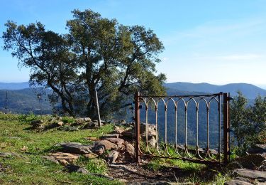 Trail Walking La Garde-Freinet - La Garde Freinet - ND de Miremer - Photo