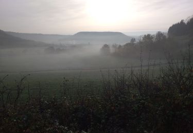 Randonnée Marche Malans - bon an Malans - Photo