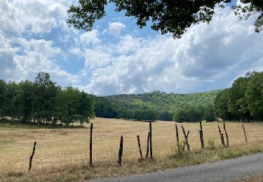 Excursión Paseo ecuestre Ernolsheim-lès-Saverne - Boucle Ernolsheim-Hunebourg - Photo