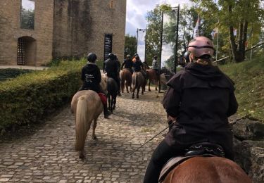 Randonnée Randonnée équestre Sierck-les-Bains - Sierck-Manderen-Apach - Photo