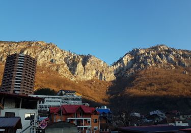 Percorso A piedi Băile Herculane - Băile Herculane (DN67D) - Vârful Domogledul Mare (1105 m) - Photo