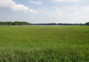 Randonnée A pied Kloster Lehnin - Baumkreis-Wanderweg - Photo