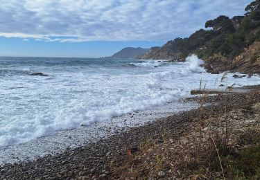 Excursión Senderismo La Seyne-sur-Mer - Saint mandrier - Photo