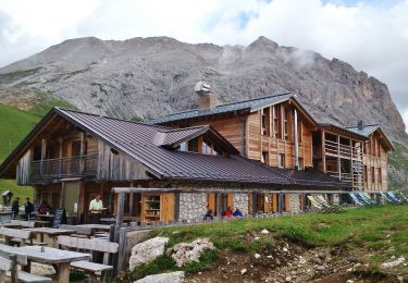 Percorso A piedi Castelrotto - (SI C20N) Rifugio Sasso Piatto - Selva di Val Gardena - Photo