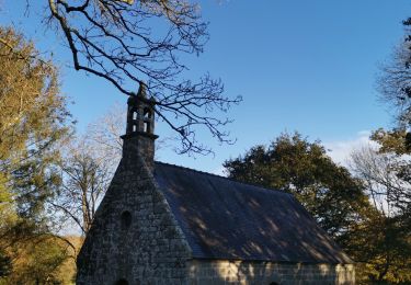 Tour Wandern Plozévet - chapelle St ronan - Photo