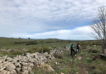 Tocht Mountainbike Nasbinals - Nasbinals VTT - Photo