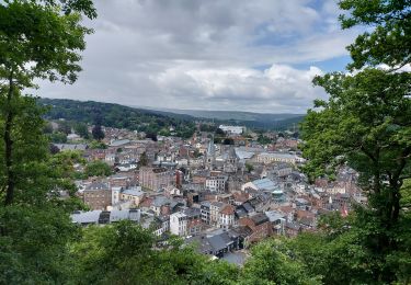 Tocht Stappen Jalhay - SART - LEZ - SPA _ Marche Fédérale _ LG - 29/05/2022 - Photo