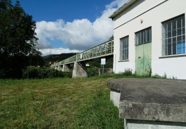 Trail On foot Cournon-d'Auvergne - Bords d'Allier - Photo