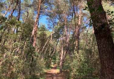 Tour sport Kalmthout - Verkorte reewandeling - Photo