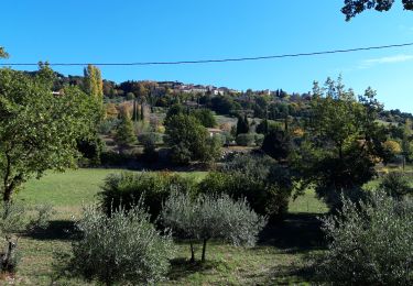 Trail Walking Villecroze - Tombe mégalithique de la Lauve-28-10-20 - Photo