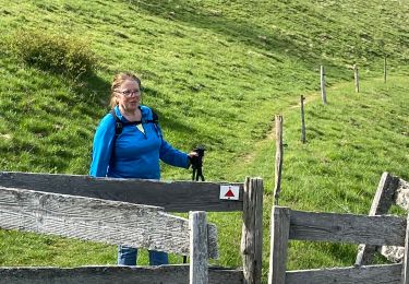 Tocht Te voet Bourbach-le-Haut - Hundsruck - ferme du Gsang À/R 10,2 kms - Photo