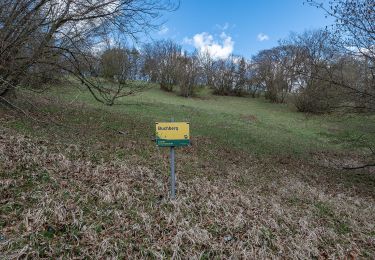 Trail On foot Gemeinde Spitz - Rotes Tor Rundwanderung - Photo