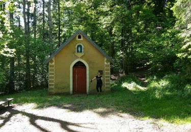 Excursión Senderismo Rougemont-le-Château - St Catherine  - Photo