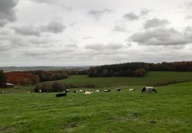 Percorso Marcia Theux - tour  des fermes. f airifagne . f wisselez . Mont . hodbomont . f st Remacle - Photo