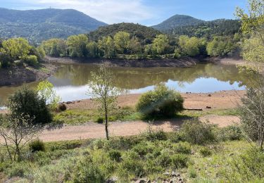 Trail Walking Fréjus - Malpasset-Mt Vinaigre (A/R) - Photo