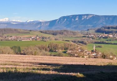 Trail Walking Villages du Lac de Paladru - Valencogne  - Photo