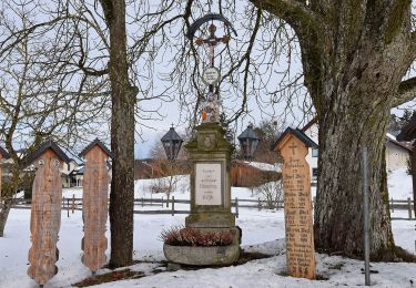 Excursión A pie Deggendorf - Franzosenweg - Photo