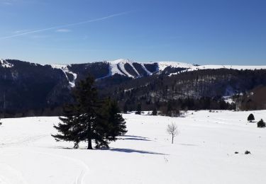 Tocht Sneeuwschoenen Fellering - Tour du Markstein - Photo