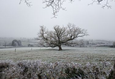 Randonnée Marche Genouilly - Genouilly  - Photo