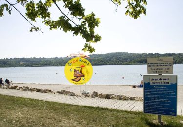 Randonnée Marche Jablines - SM_JABLINES_7.4Km - Photo