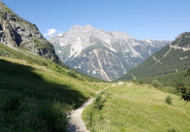 Randonnée Marche Pralognan-la-Vanoise - Prlognan - col du grand Marchet - Photo