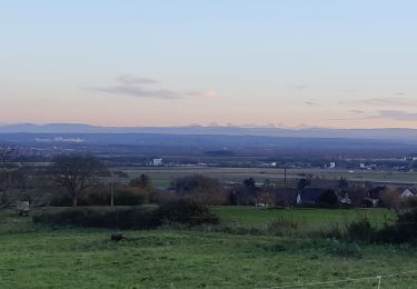 Trail Electric bike Wattwiller - Wattwiller-Tour du Grand Ballon, chiffrages à terminer - Photo