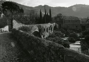 Randonnée A pied Taggia - Via della Costa - Photo