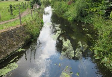 Trail Walking Bassenge - Wonck - Eben-Emal - Bassenge - Photo