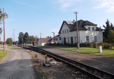 Tocht Te voet Olbersdorf - LG-Grüner Strich - Photo