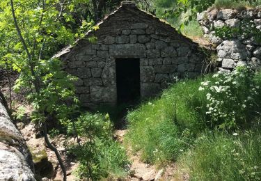 Tour Wandern Pont de Montvert - Sud Mont Lozère - La Croix de Berthelot pont du Tarn - Photo