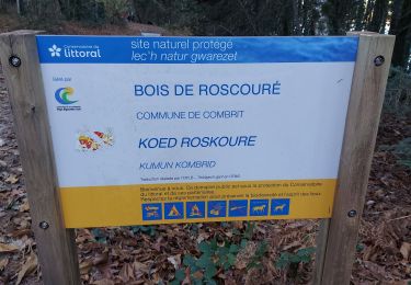 Trail Walking Combrit - 20211123 Benodet Foret de Resvourouet - Photo