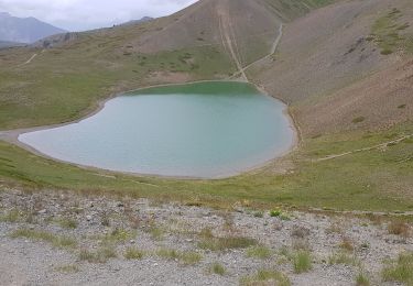 Tour Wandern Cervières - mongenevre - Photo