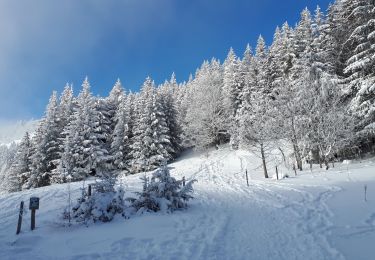 Excursión Raquetas de nieve Lans-en-Vercors - Circuit les Aigaux / Charande - Photo