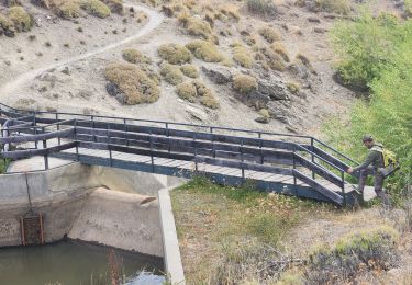 Tour Wandern Cochrane - Lago de Cisne - Photo