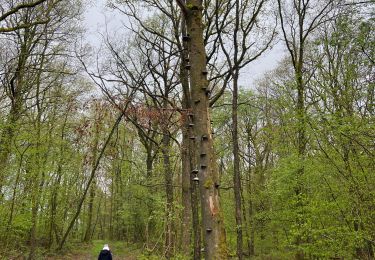 Tocht sport Signy-le-Petit - Étang de la Vieille Forge  - Photo