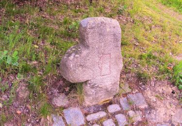 Percorso A piedi Windischeschenbach - Windischeschenbach Rundwanderweg Nr. 10 - Photo