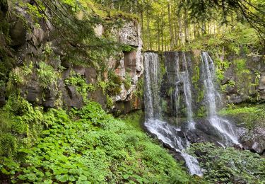 Randonnée Marche Le Falgoux - Cascade du Biagun - Photo