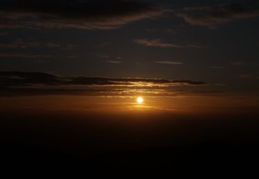 Tocht Te voet Bühl - Gertelbach-Rundweg - Photo