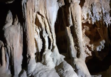 Tour Wandern Solliès-Toucas - Baumes des Lumes  - Photo