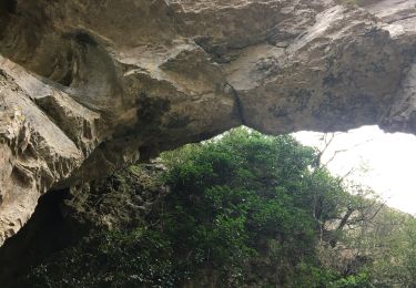 Excursión Senderismo Corconne - Corconne : pont du hasard et chapelle le 19 mars  - Photo