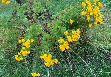 Trail Walking Gerpinnes - Grand tour  - Photo