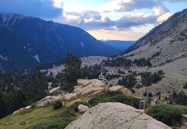 Trail Walking Setcases - etp39. gr11 - Photo