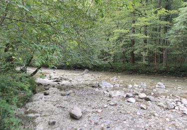 Excursión A pie Ig - Pot ob reki Iški - Okljuk - Photo